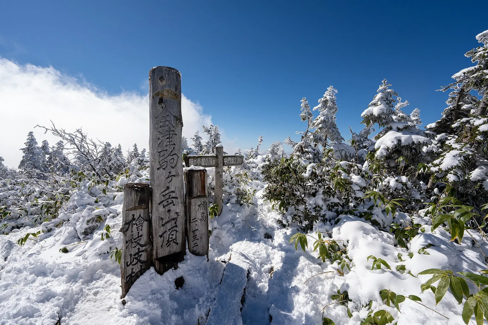 雪の積もった会津駒ヶ岳の山頂標柱と、霧氷のついた針葉樹