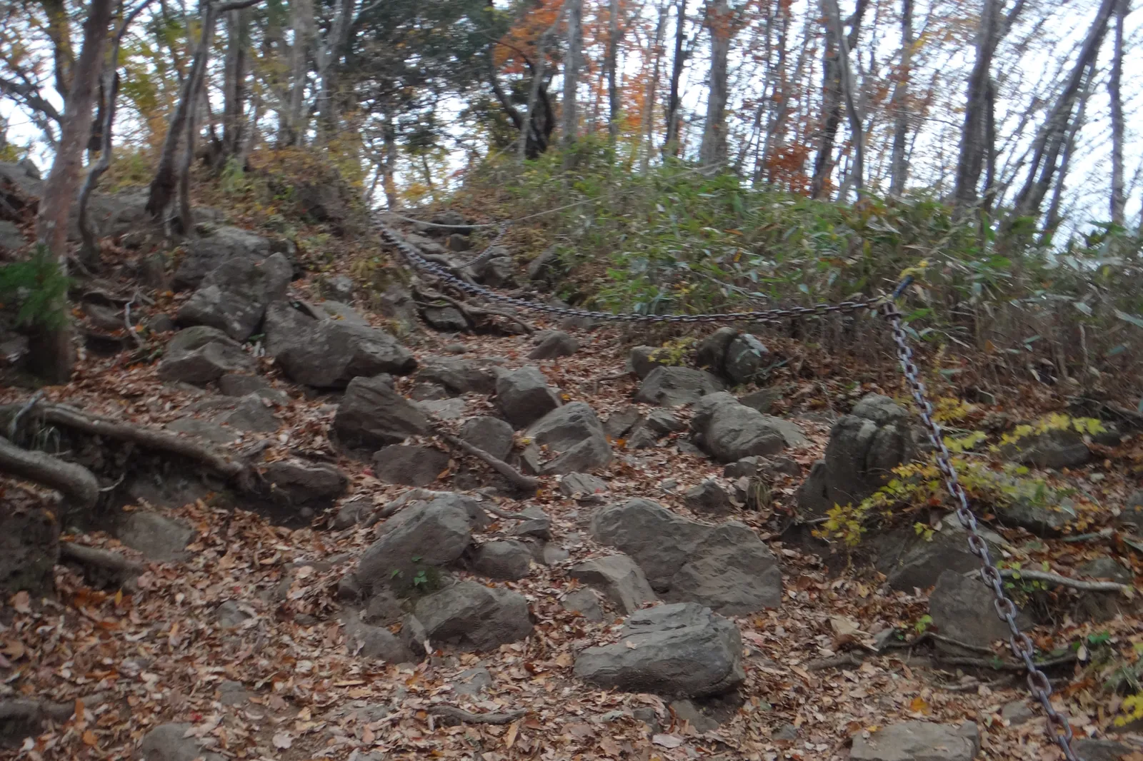 茶色い落ち葉に覆われた岩まじりの登山道に、手がかりの鎖が張られている