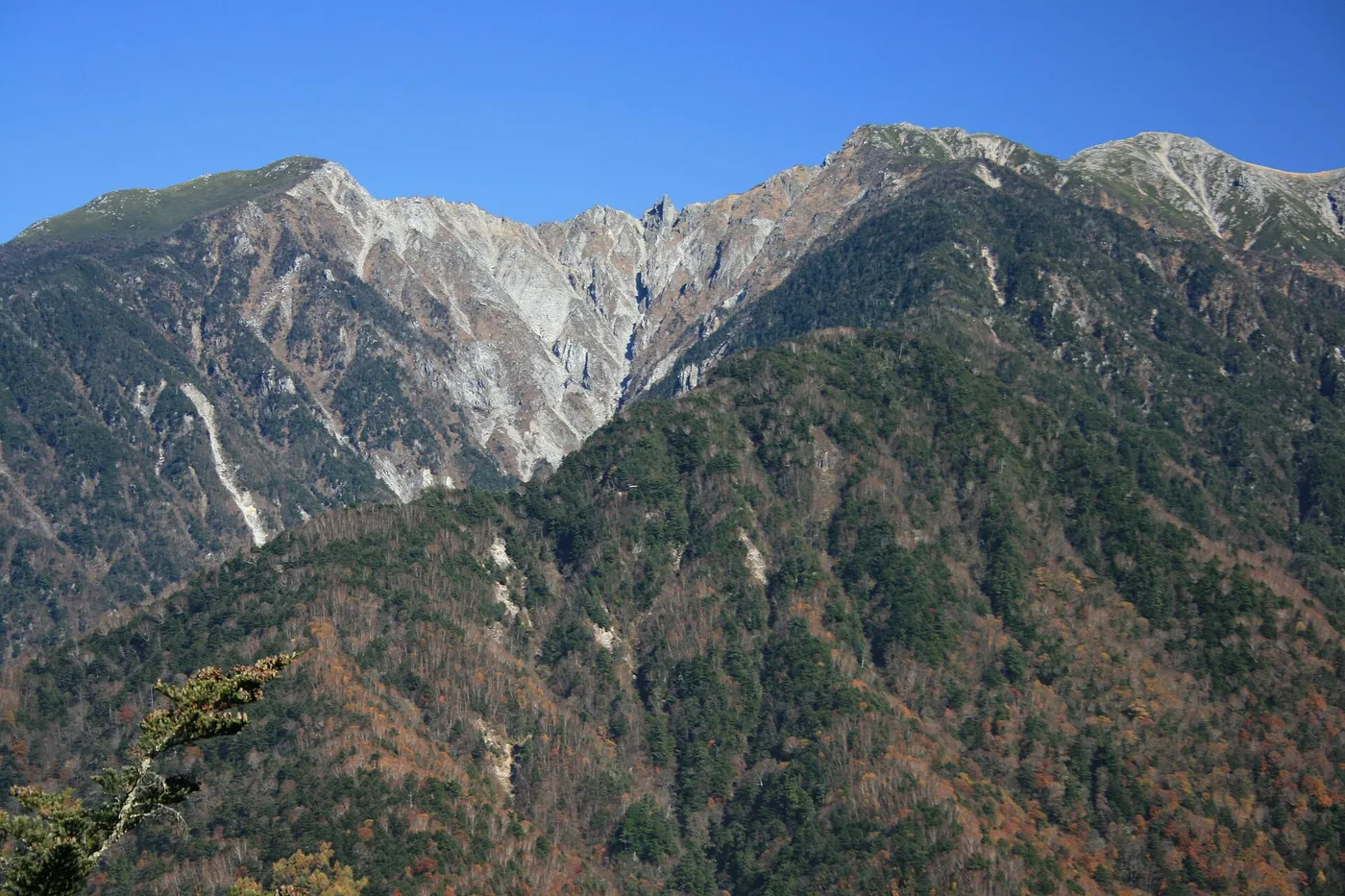 青空の下、白っぽい岩肌の木曽駒ヶ岳・木曽前岳の稜線と、紅葉が残る山腹を風越山から望んだ10月下旬の景色