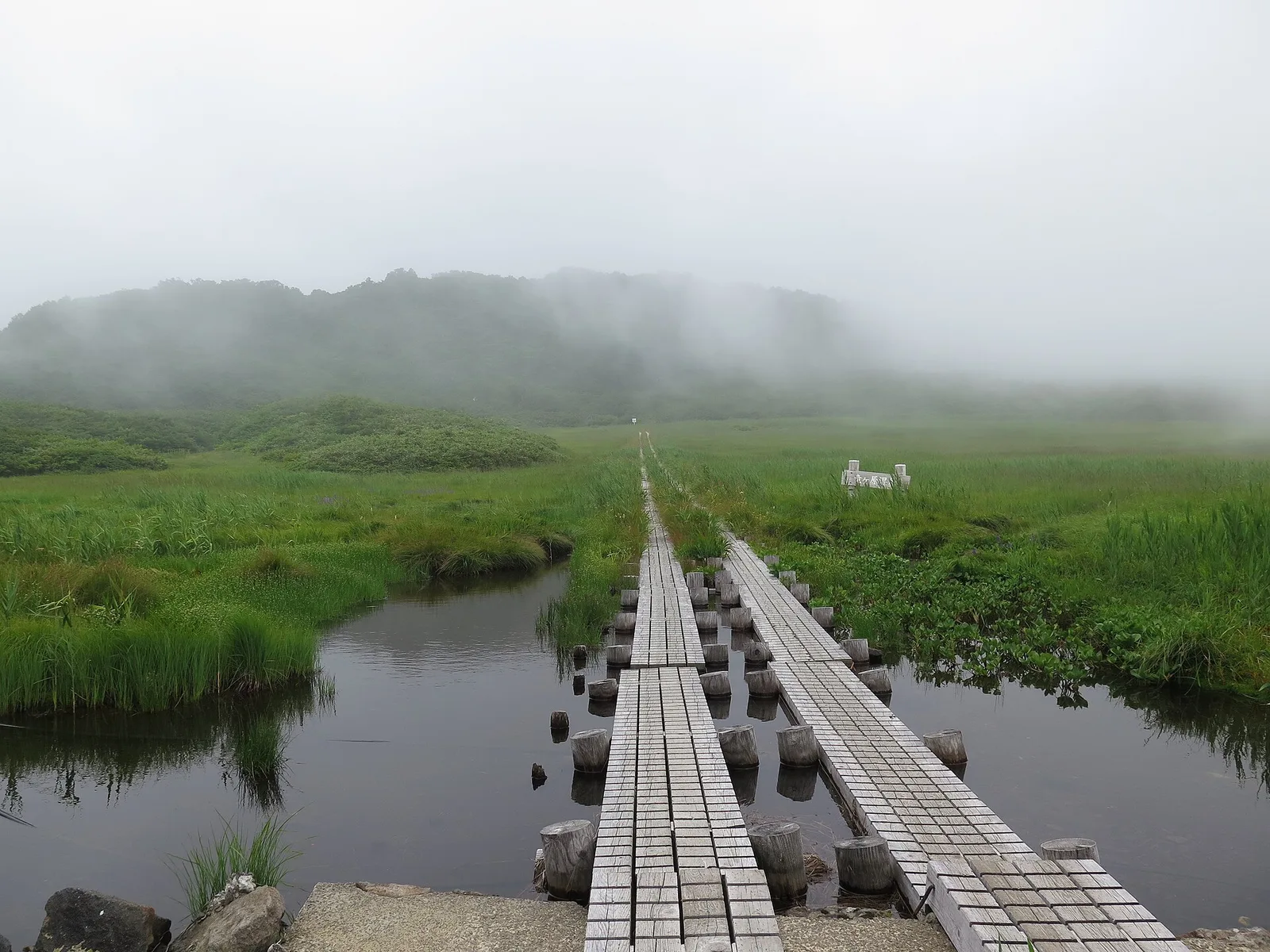 霧に包まれた竜ヶ原湿原の木道。祓川登山口付近の湿原