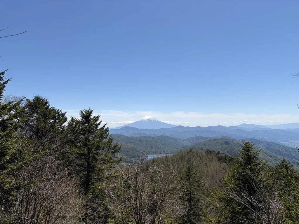 唐松尾根の登りの途中、木々の間から見えた富士山と大菩薩湖
