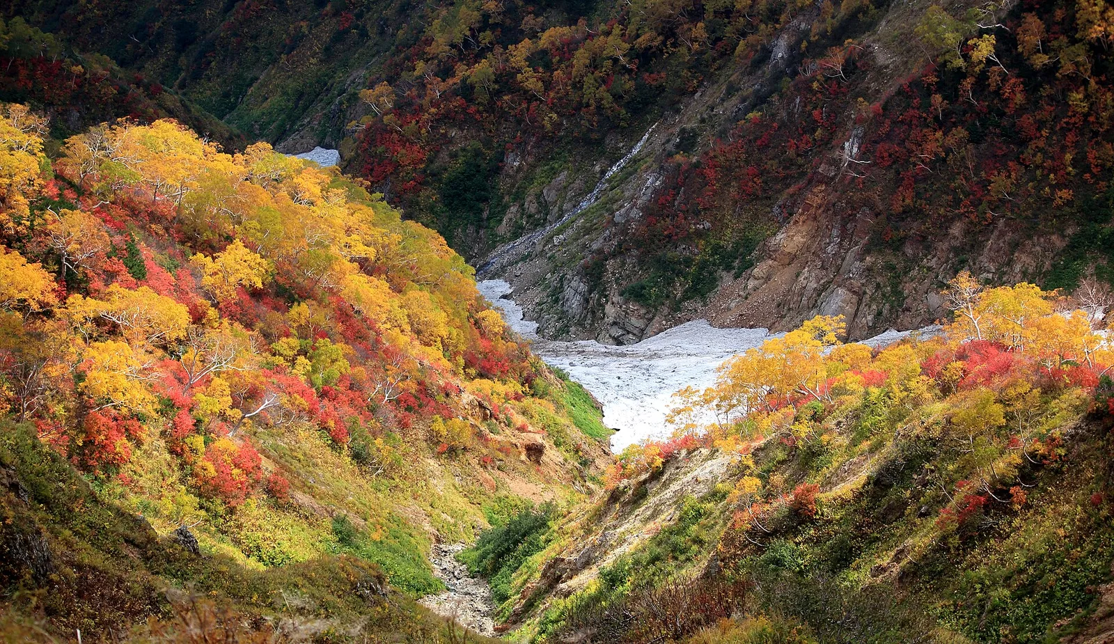 紅葉した谷の斜面の上部に新雪が積もった白山の地獄谷