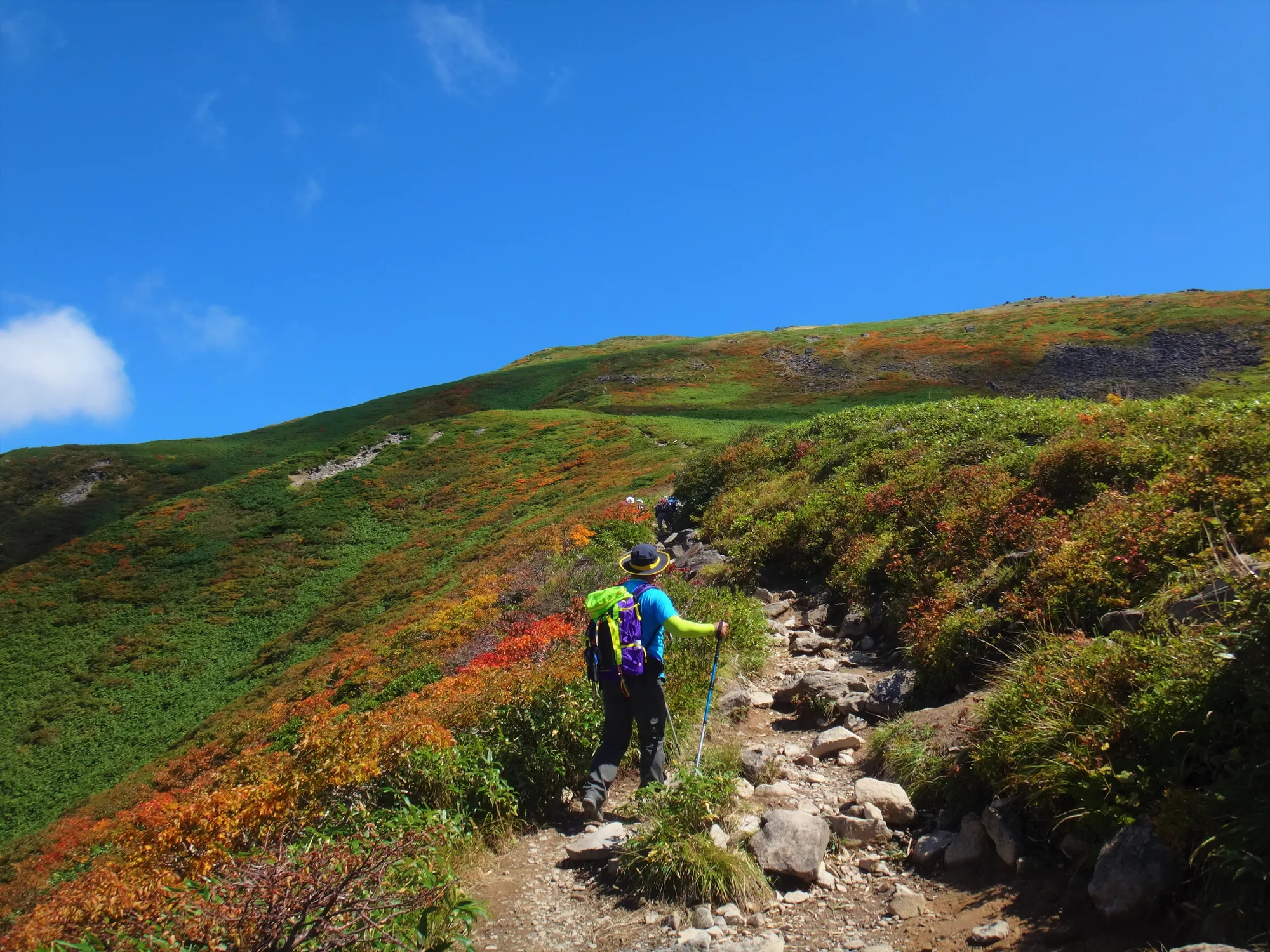 草紅葉に染まった月山の稜線