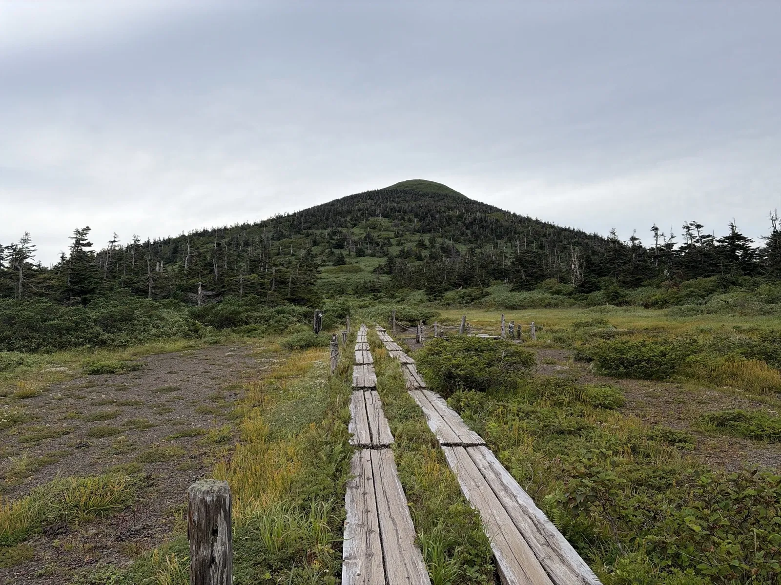 草地の中にまっすぐ伸びる木道。その先に、緑に覆われた丸い山がそびえている。空は曇っている