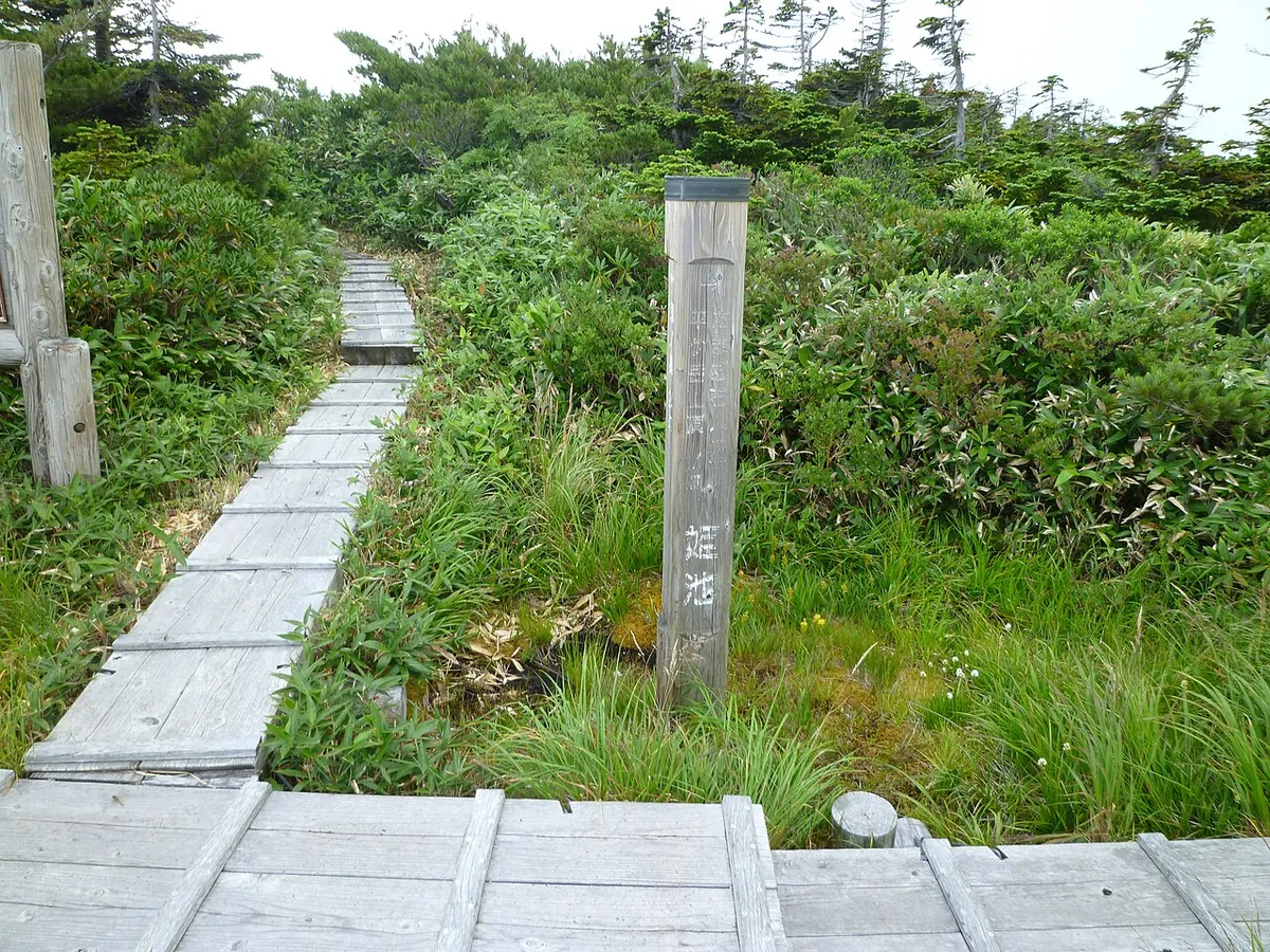 姫ノ池から平ヶ岳へ続く木道