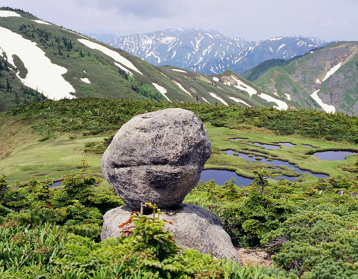 平ヶ岳の湿原に立つ玉子石