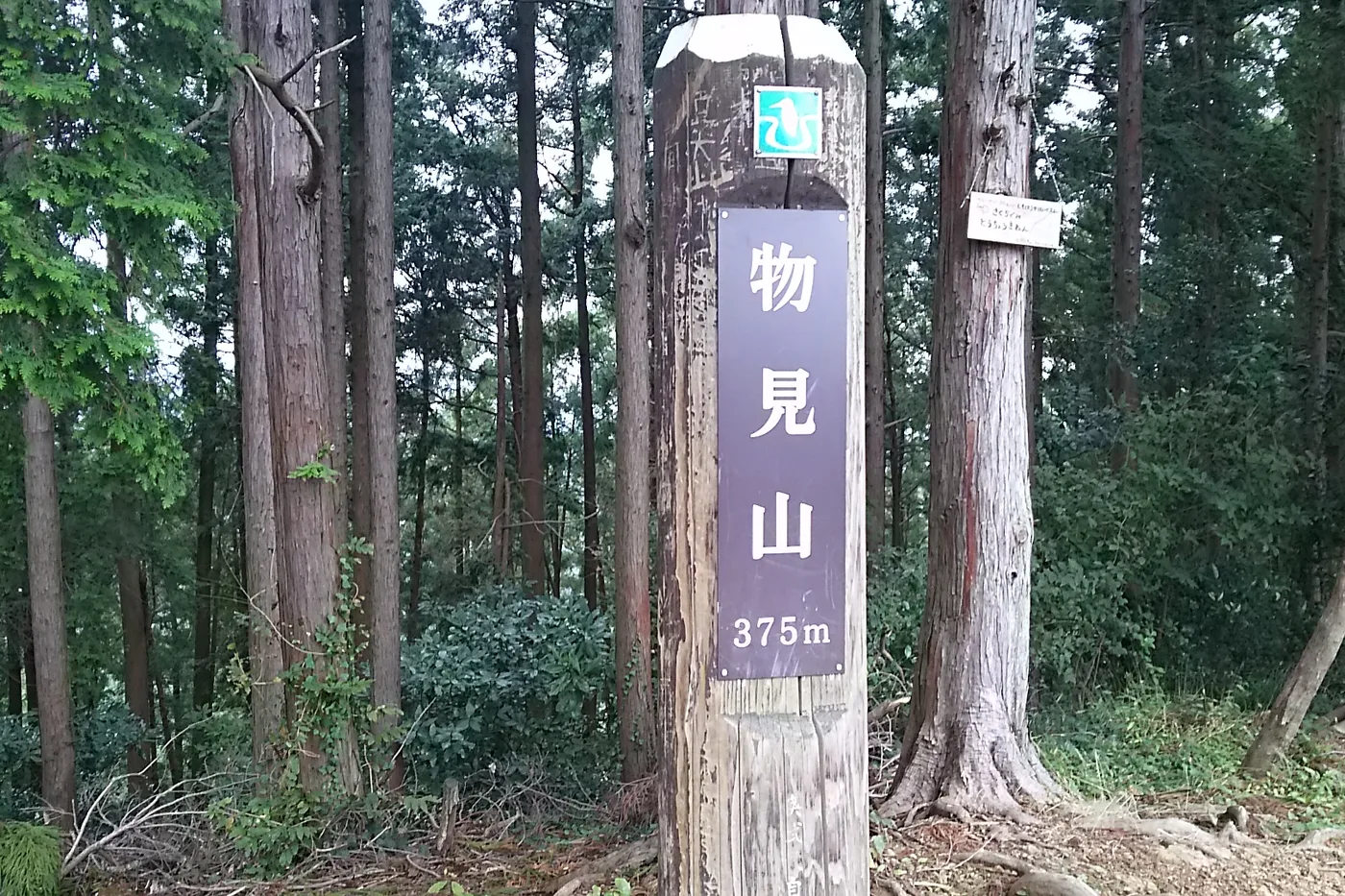 杉木立の中に立つ「物見山 375m」と書かれた木の山頂標