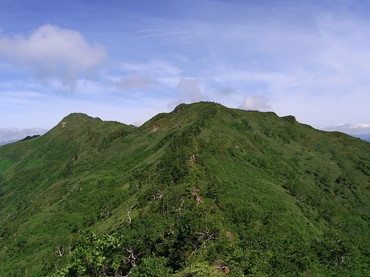 緑の笹原に覆われた武尊山の稜線と、遠くに見える山頂部