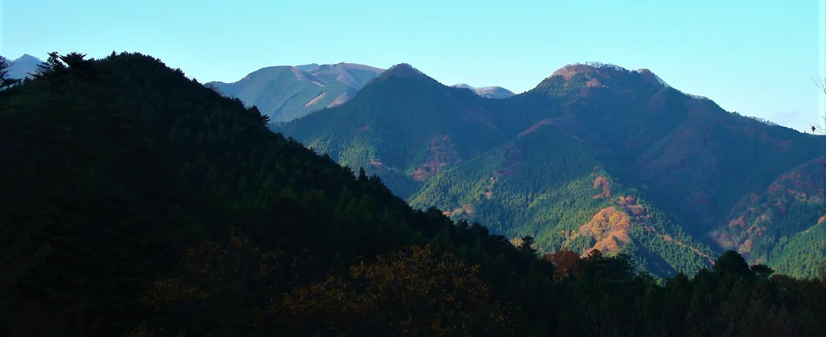 伊豆ヶ岳の日帰り登山ガイド｜正丸駅から歩ける奥武蔵の人気コース・服装・注意点を解説