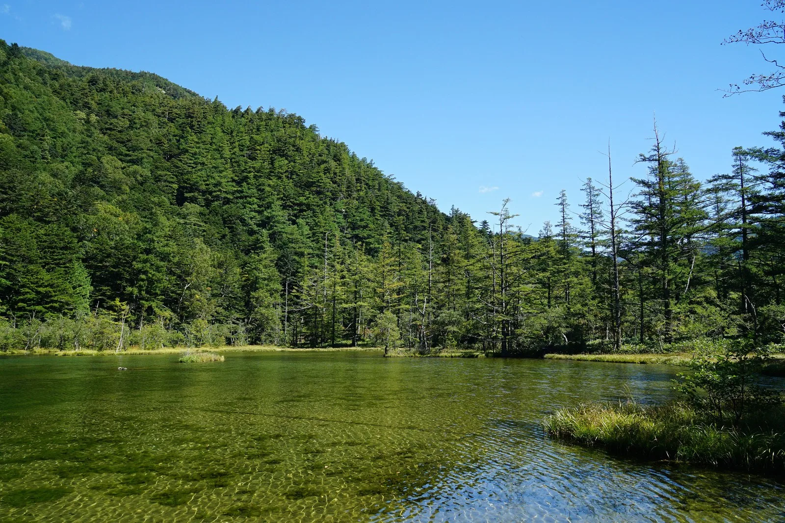 Myojin Pond surrounded by forest with mountain slopes beyond at Kamikochi