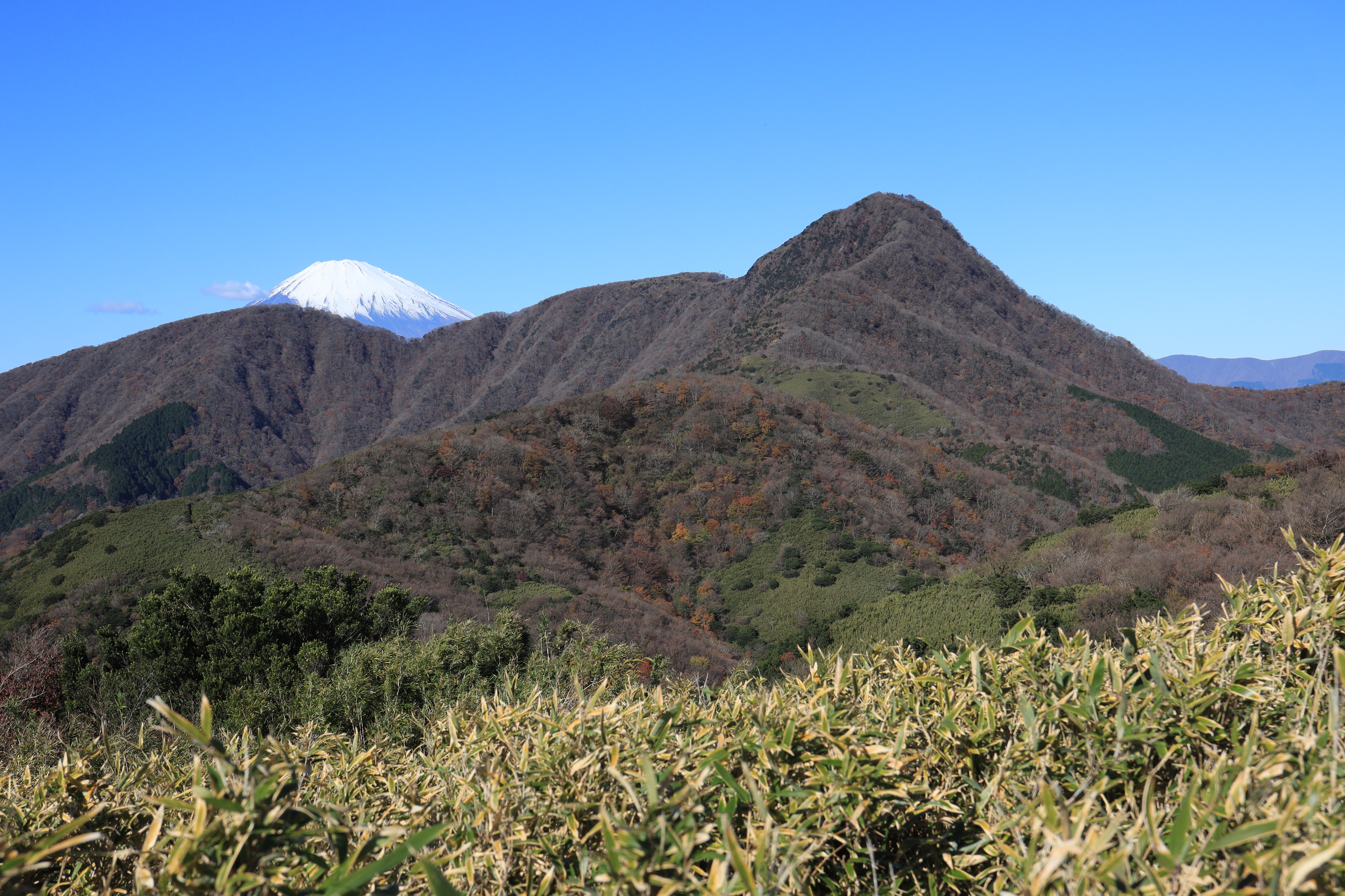 金時山と富士山の眺望写真
