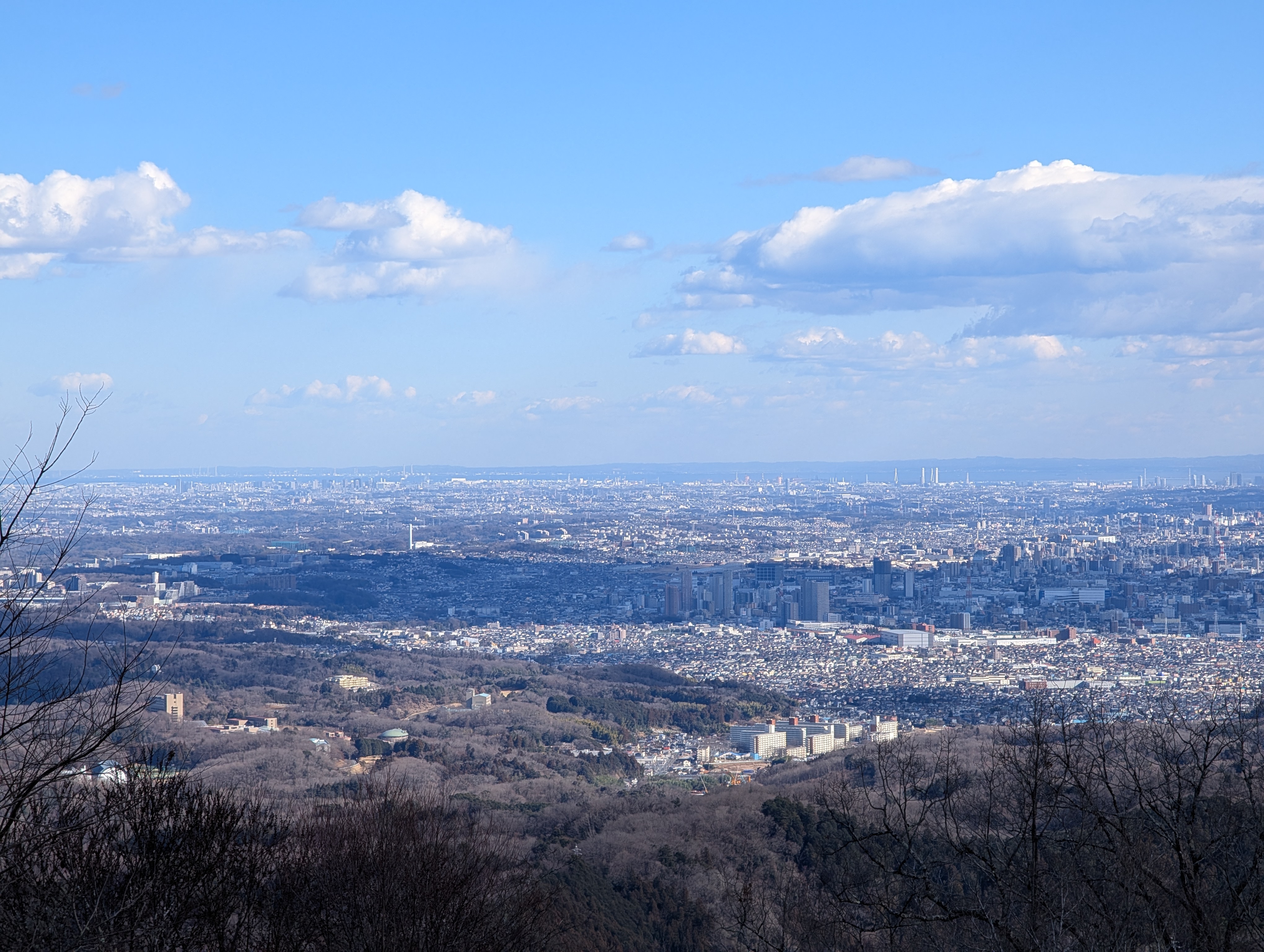 高尾山から東京都心方面を望む景色