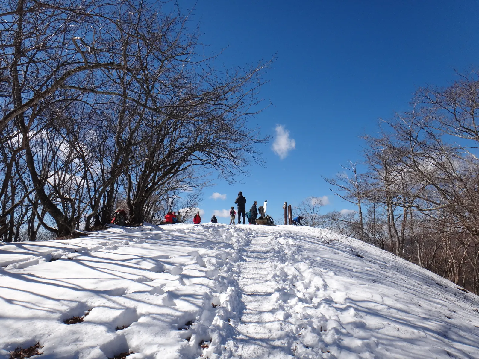 川苔山の山頂