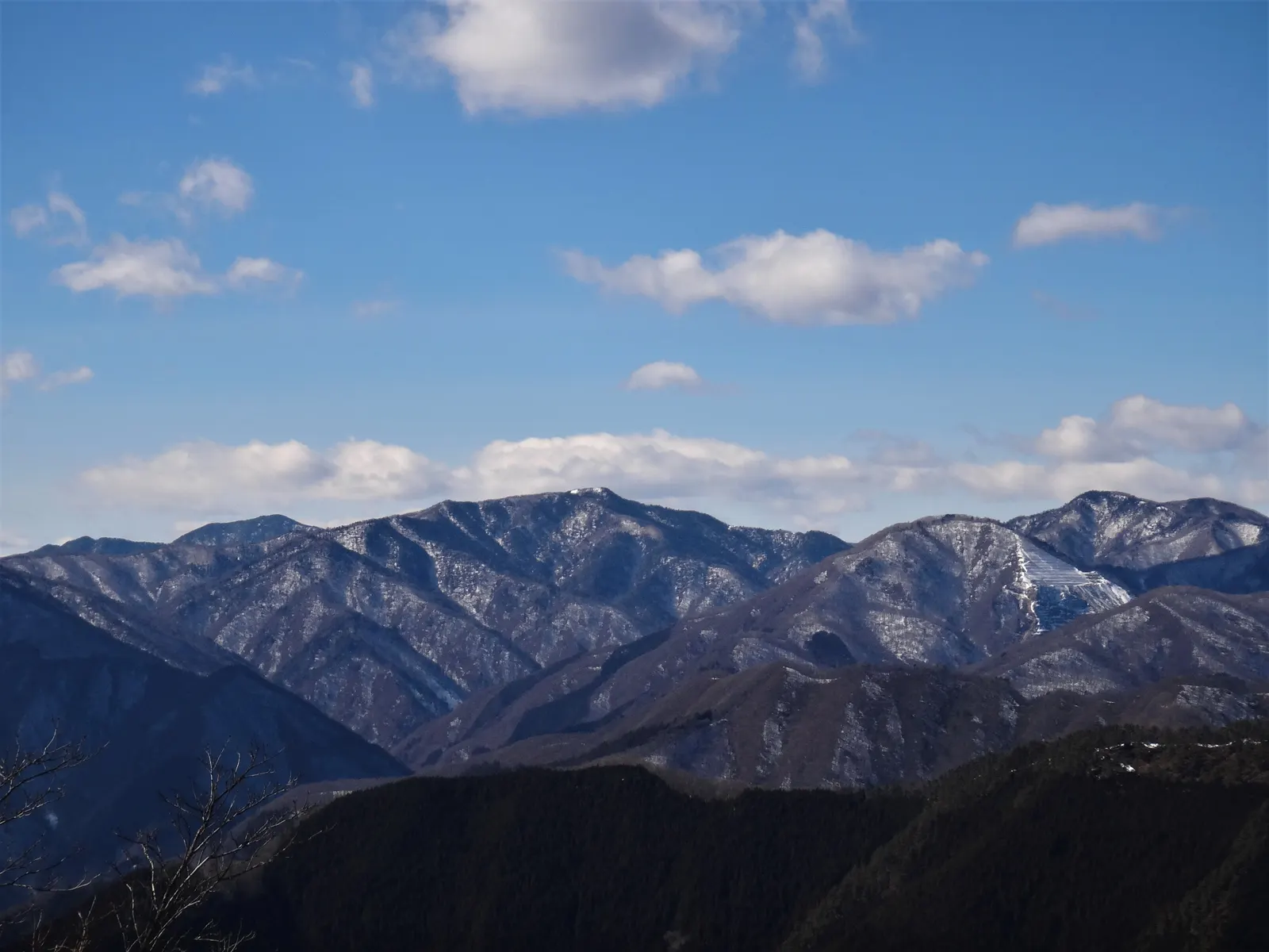 川苔山から望む雲取山