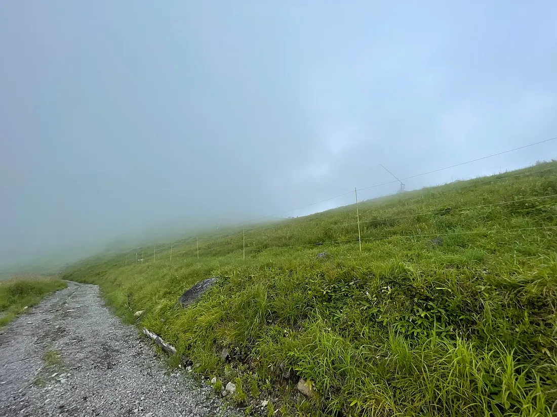 霧に包まれた草原の山道