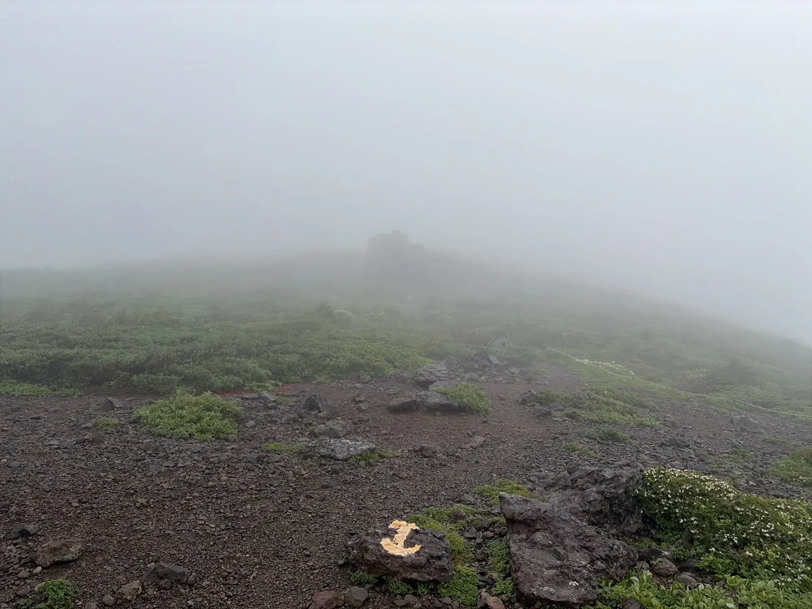 霧で先が見えない東栗駒山の手前の登山道。足元の岩に黄色い目印が描かれ、白い小さな花が咲いている