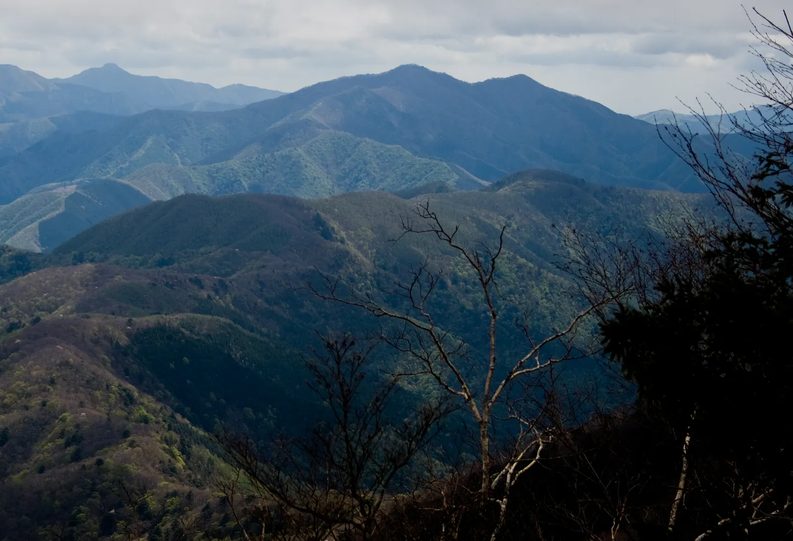 大菩薩峠から東を望んだ山並み。中央奥が三頭山