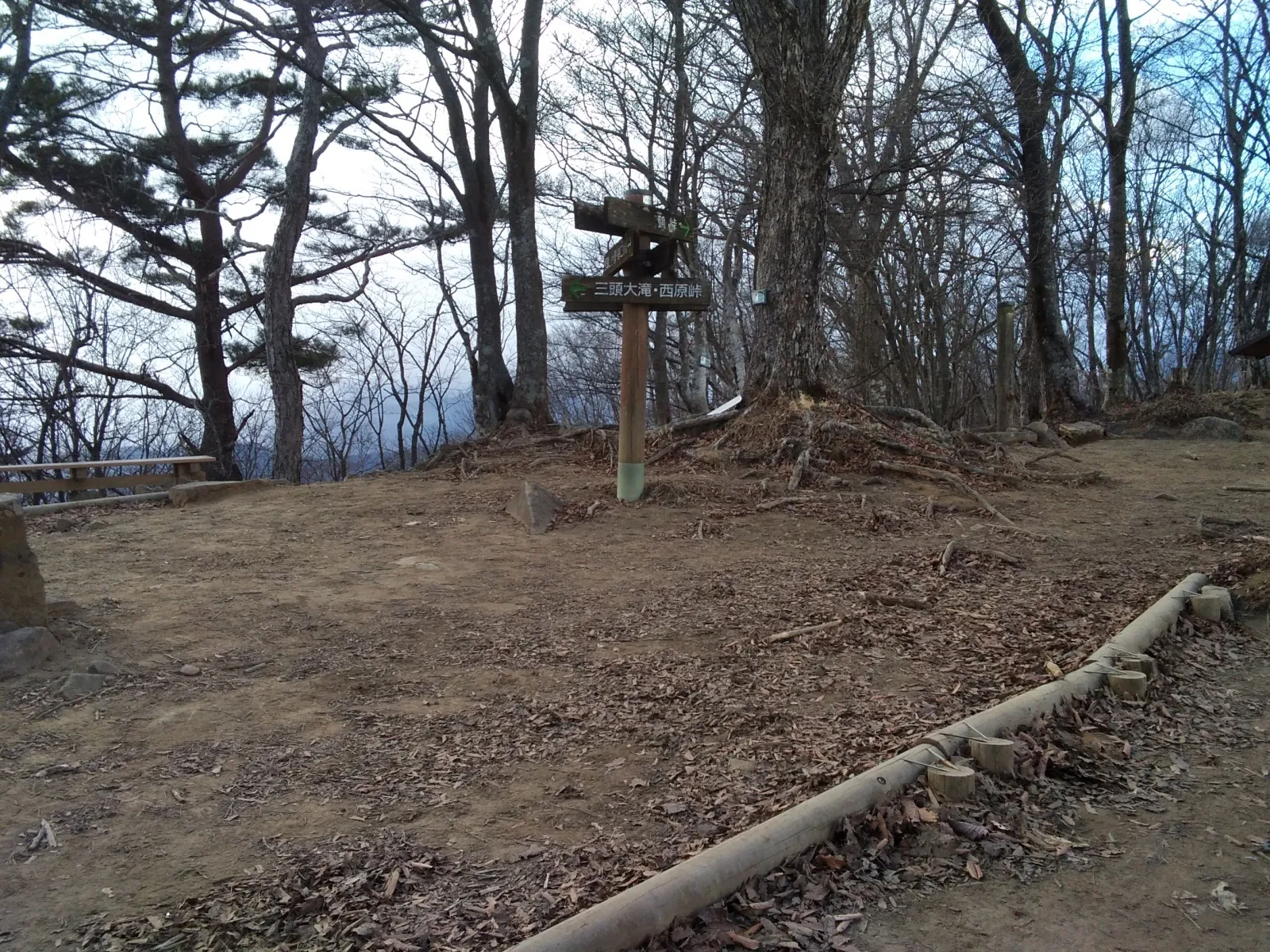 三頭山の山頂の様子