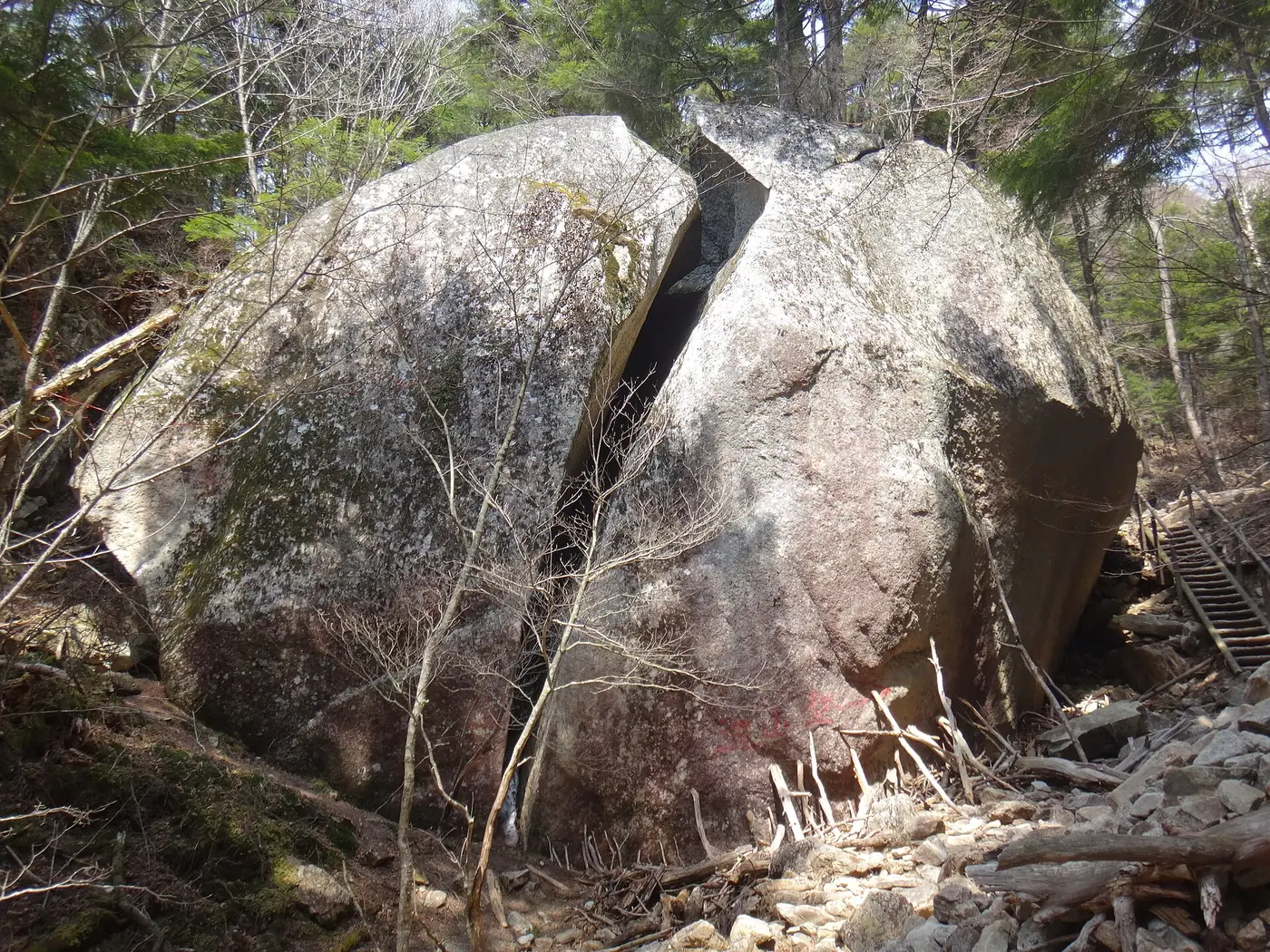 縦に真っ二つに割れた巨大な花崗岩、桃太郎岩。右奥に木のハシゴが見える