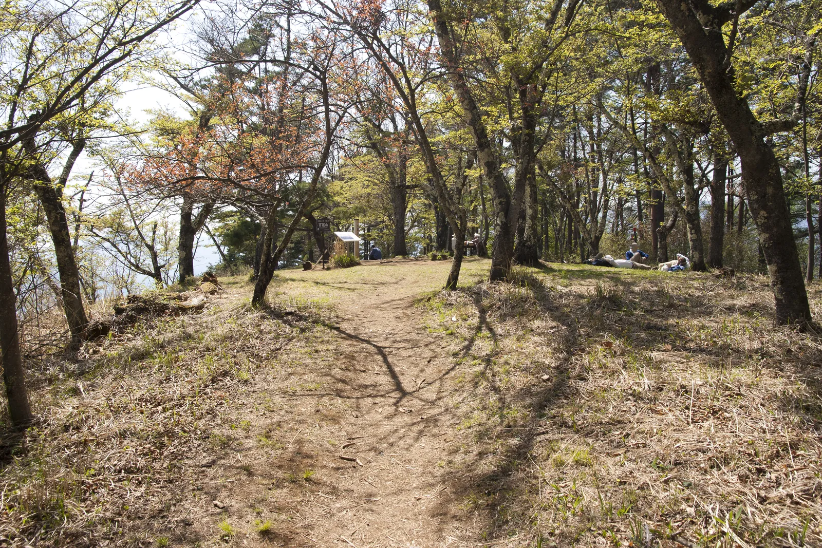 百蔵山の山頂