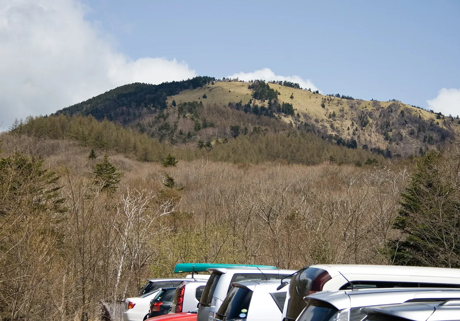Mt. Daibosatsurei seen from Kamihikawa Pass, with forest in the foreground