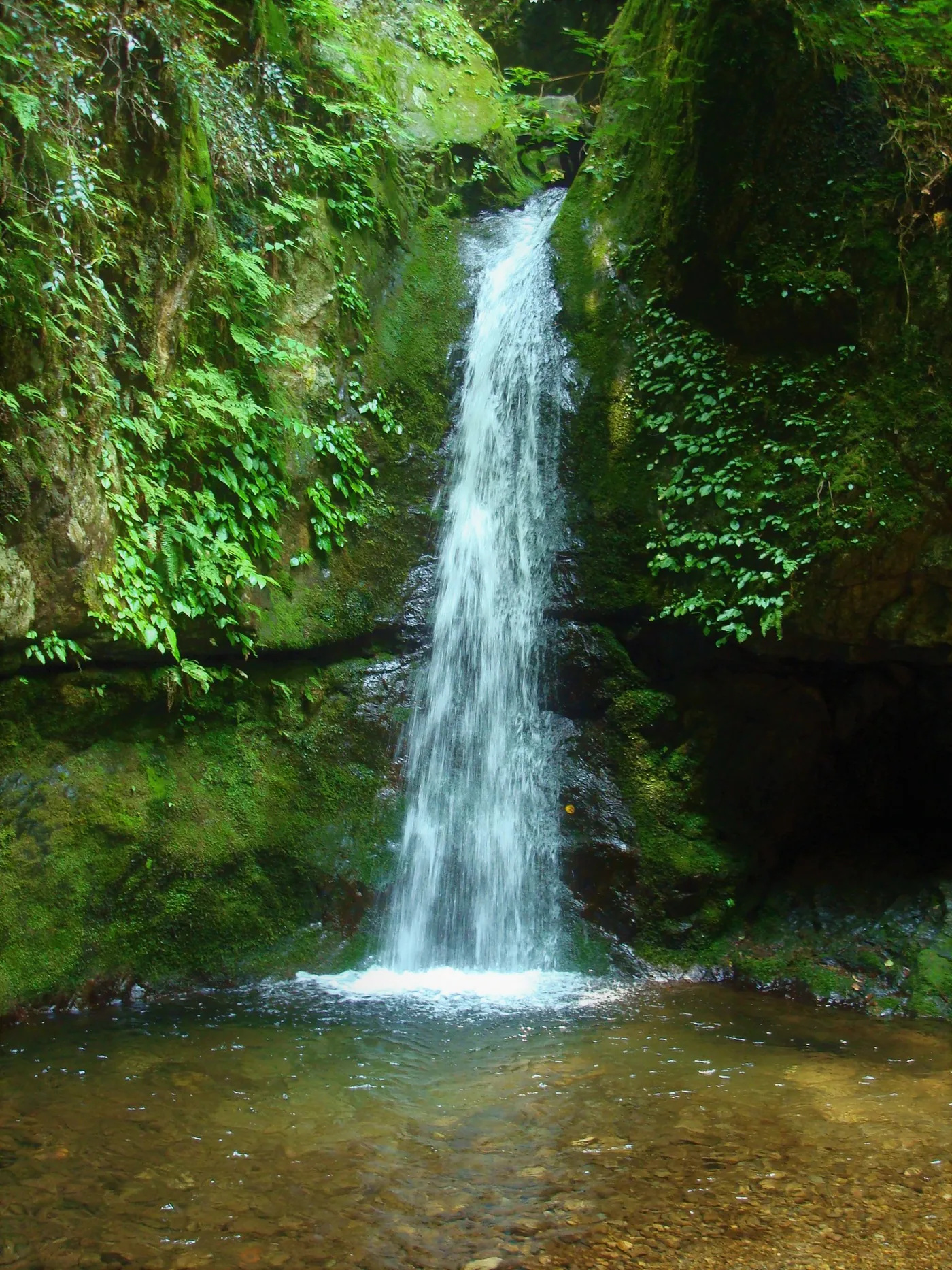 Nanayo Falls cascading through forest on Mount Mitake