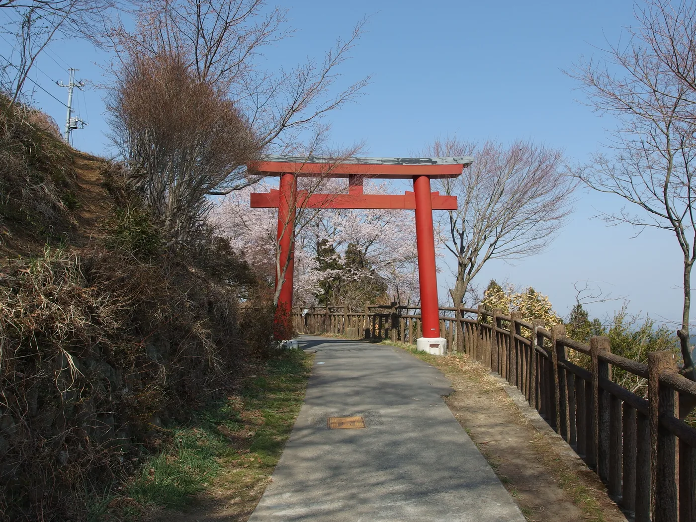 Wooden torii gate on Mount Mitake among cedar trees