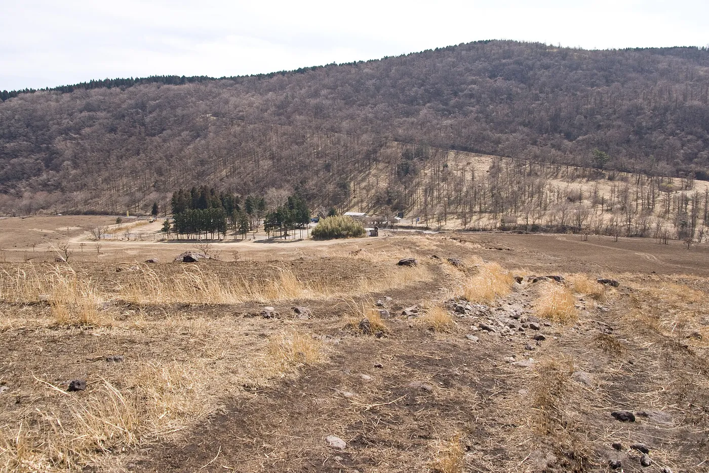 A wide open grassland of dry winter grass at the foot of Mount Yufu, with a low wooded ridge behind it