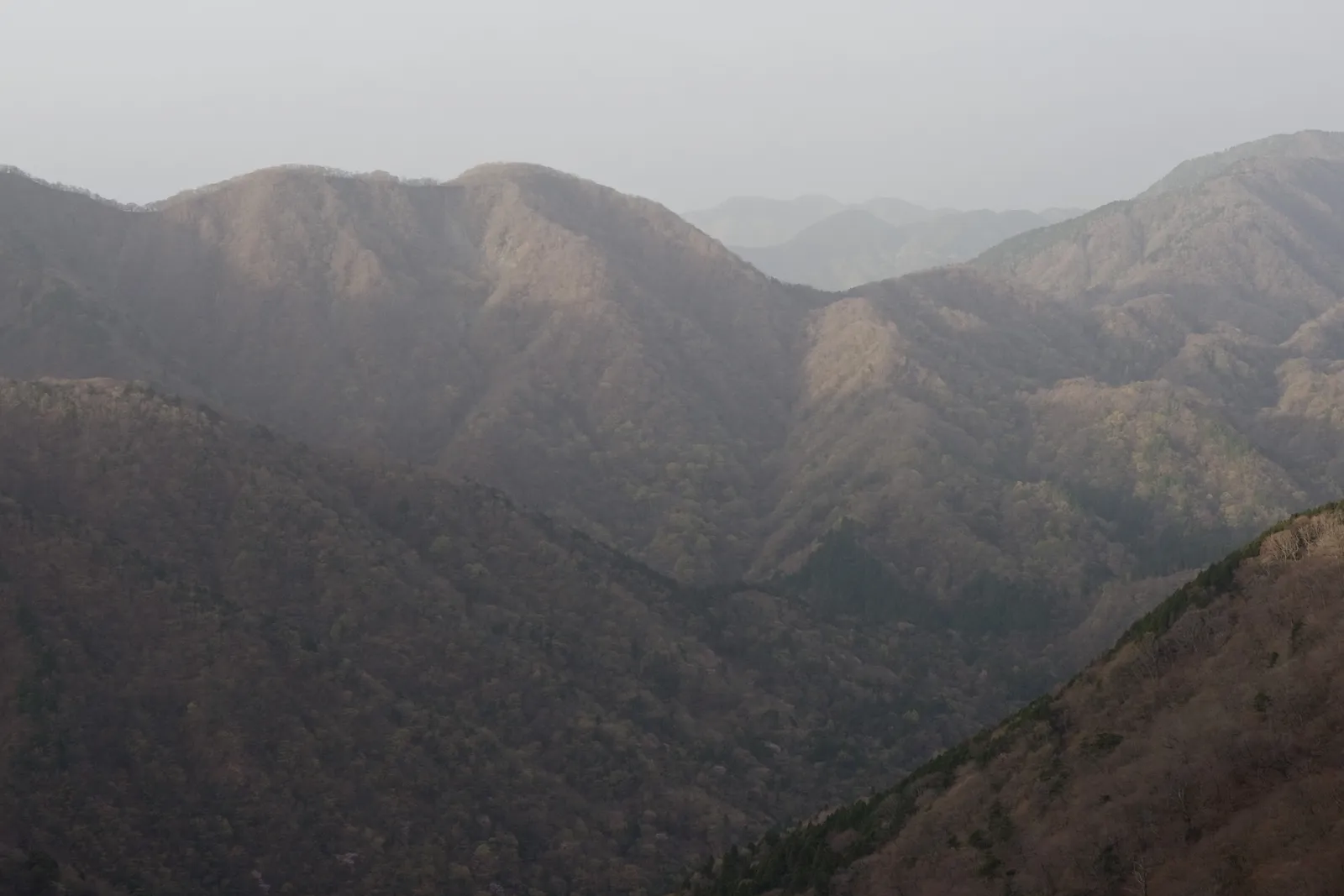 不動ノ峰から見た鍋割山