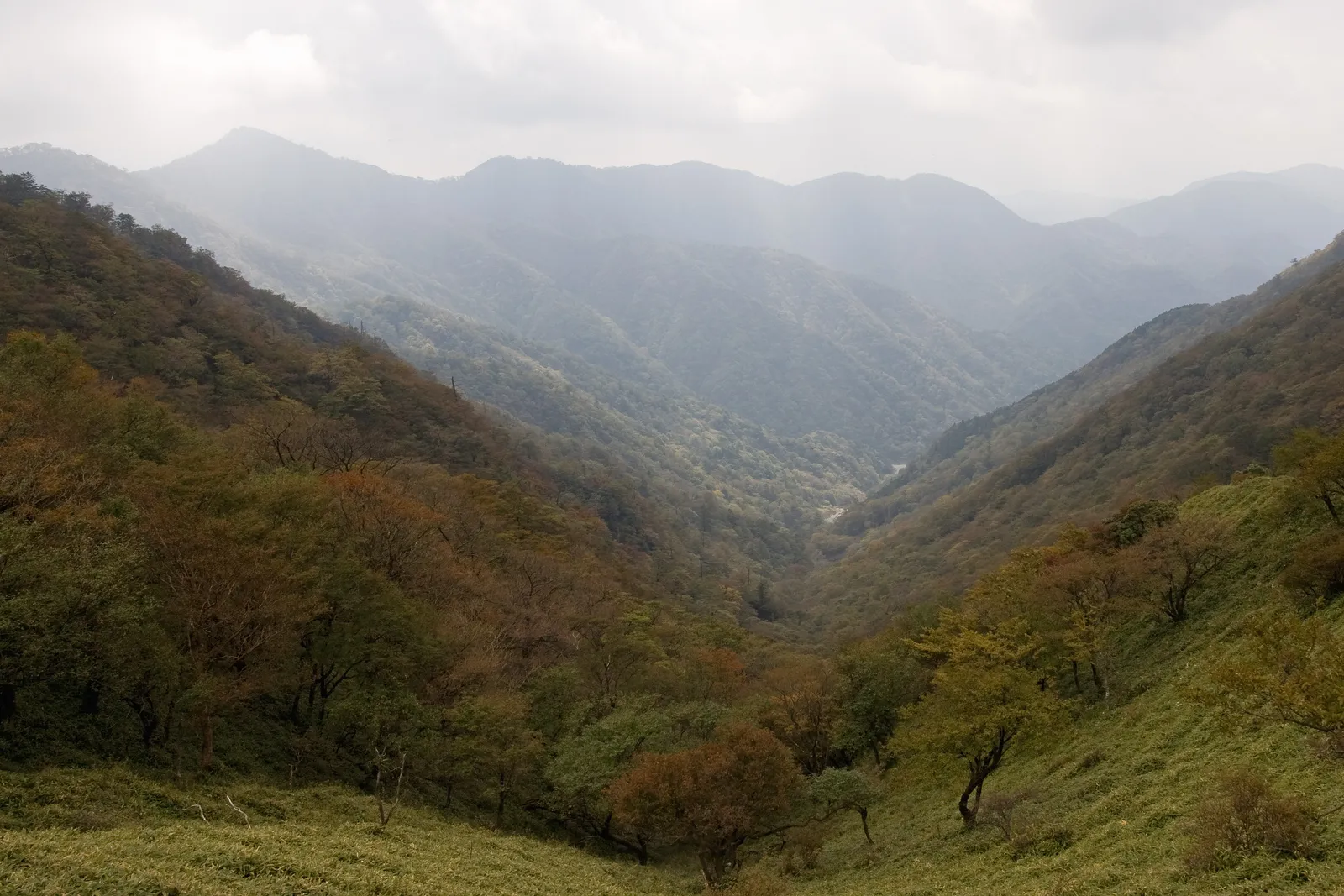 不動ノ峰から見た鍋割山稜