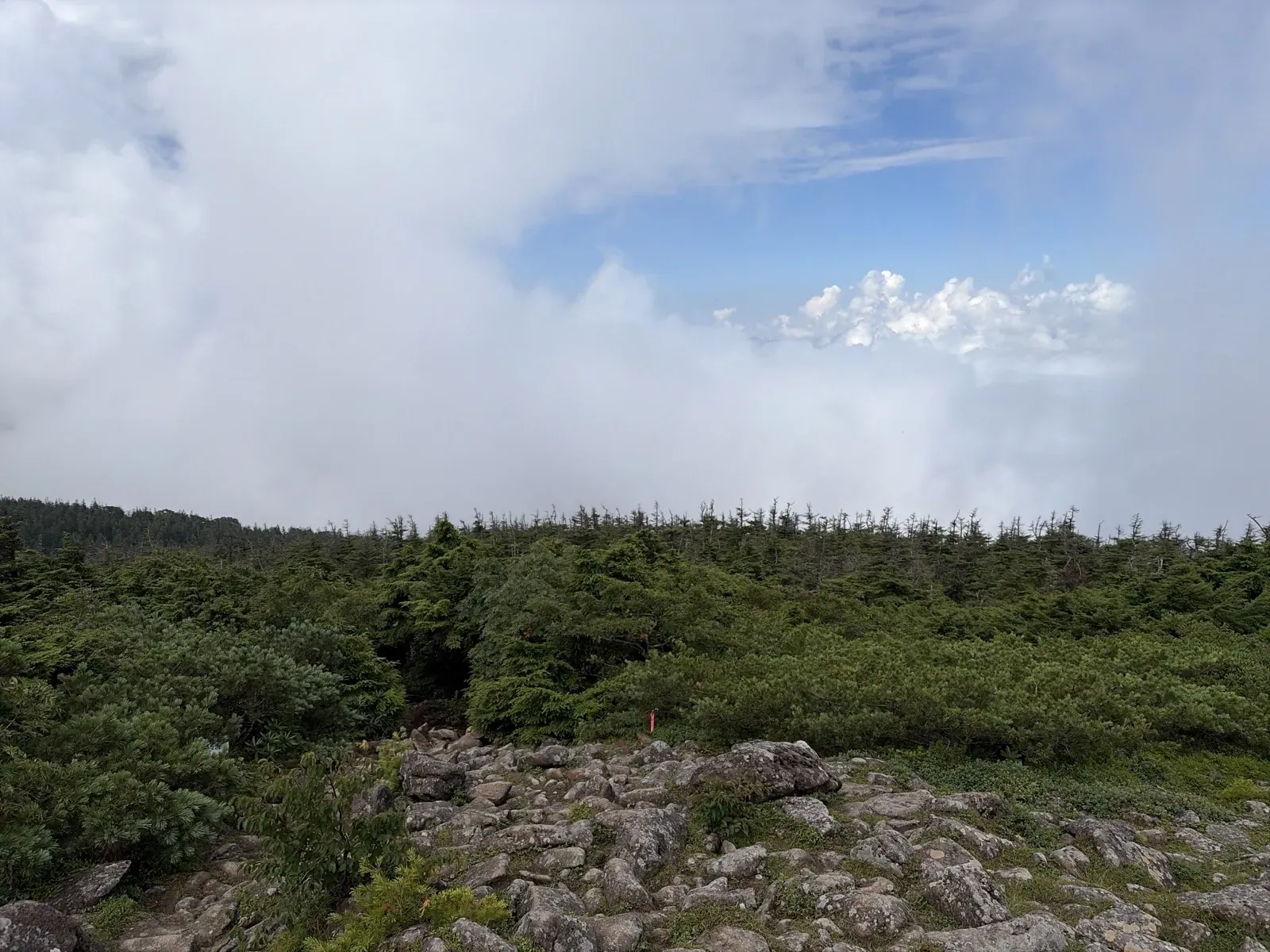 かもしか展望台の岩場と低い木々。遠くに雲が広がり、ところどころ青空がのぞいている