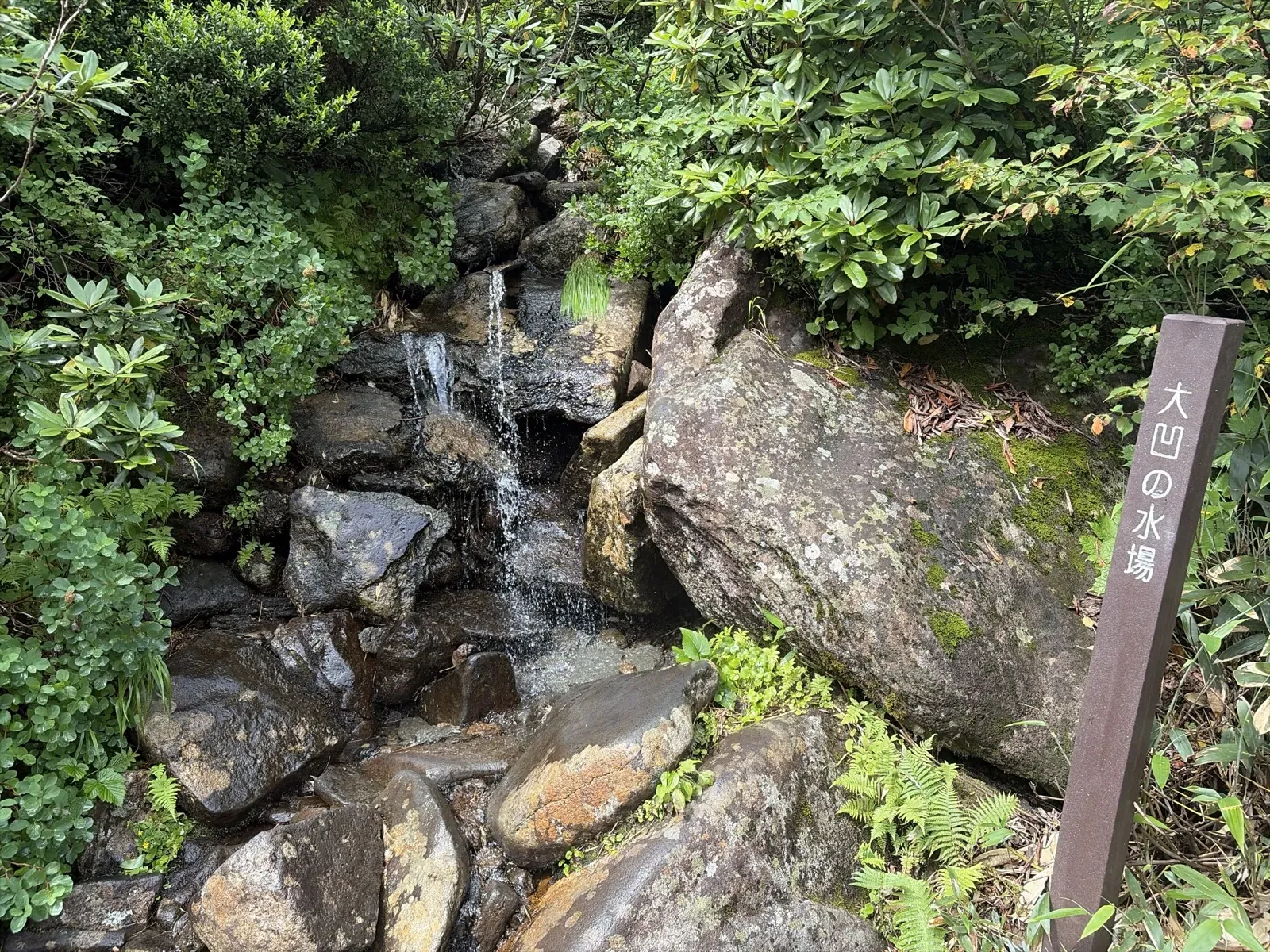 岩の間を流れ落ちる水と、「大凹の水場」と書かれた木の標識。まわりは緑の草木に囲まれている