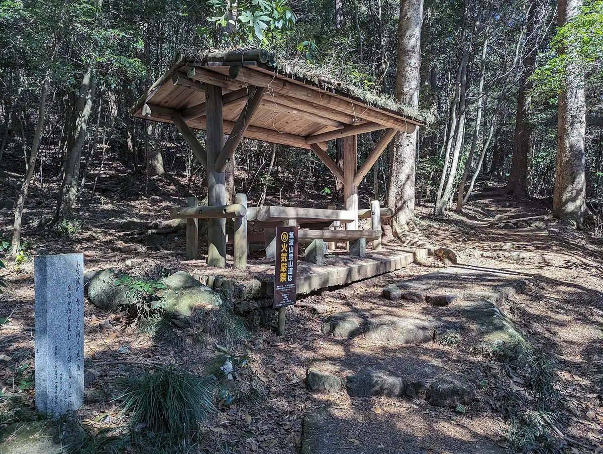 冬枯れの森のなかに立つ、屋根つきの休憩所とベンチ