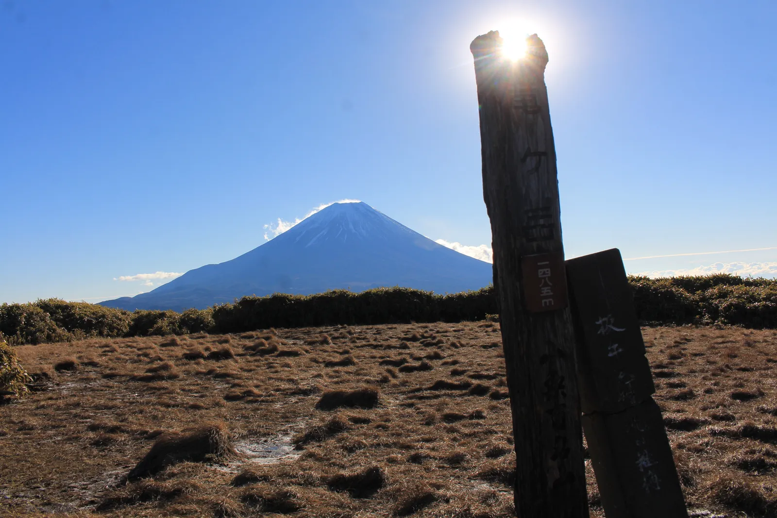 竜ヶ岳の山頂の笹原と、その向こうの富士山