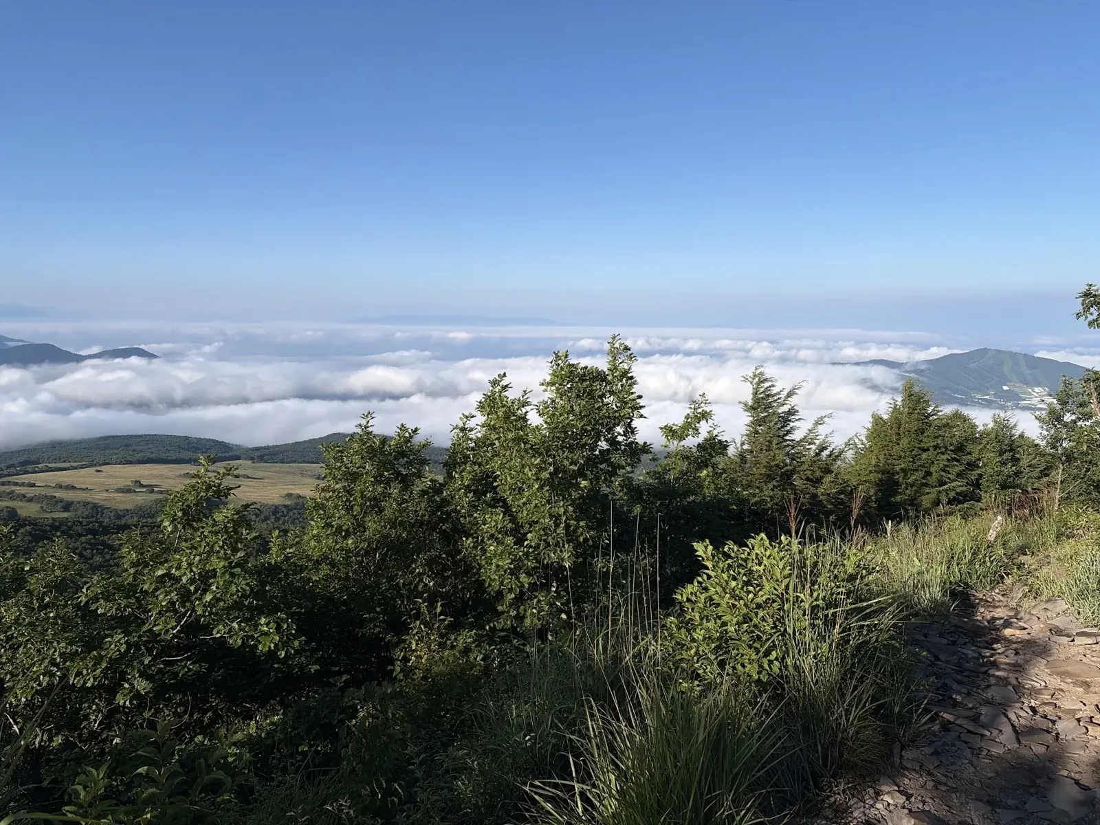 小四阿付近から見た、低木の向こうに広がる雲海と遠くの山並み