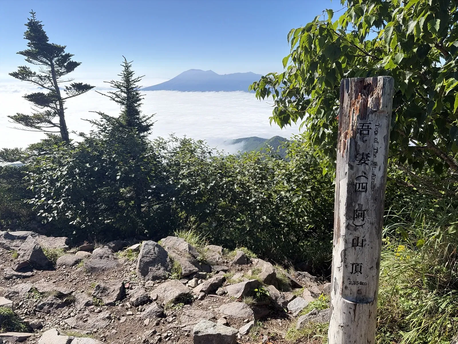 四阿山の山頂に立つ「吾妻(四阿)山頂 2,354m」の木の標柱と、背後の雲海