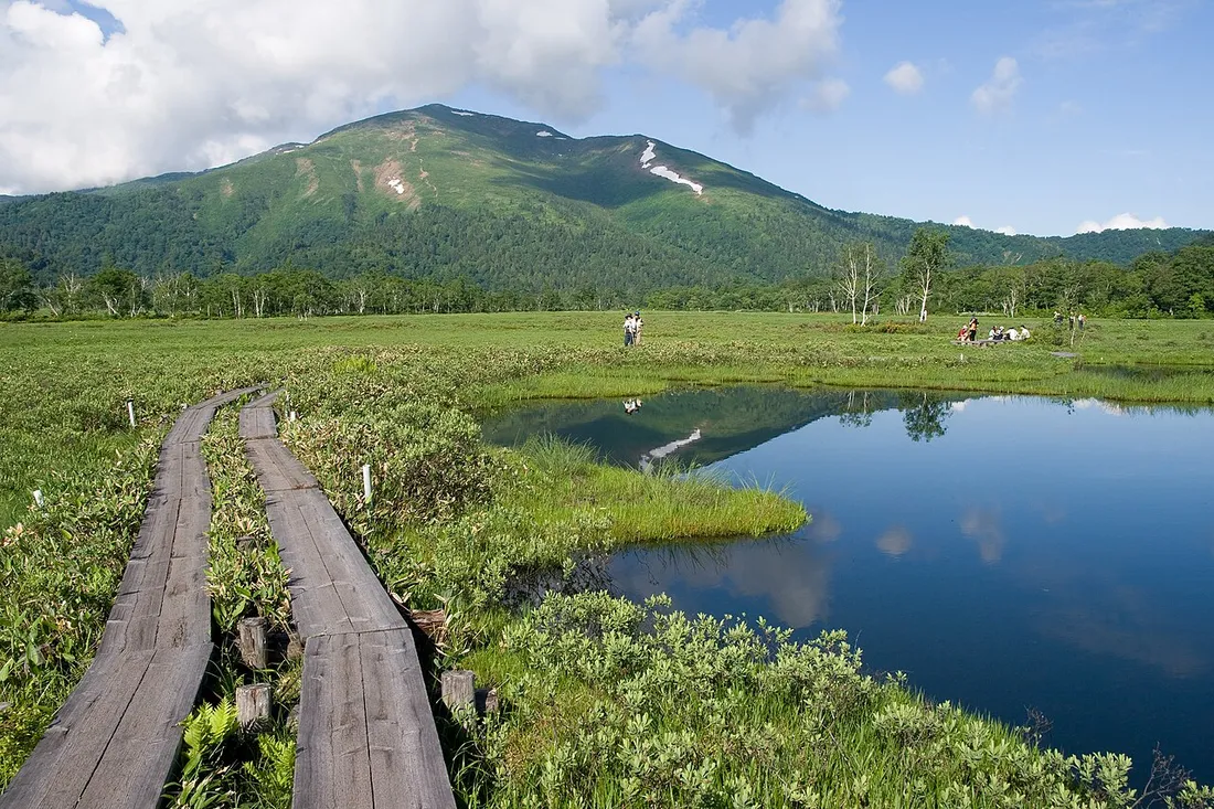池と木道の奥に見える至仏山