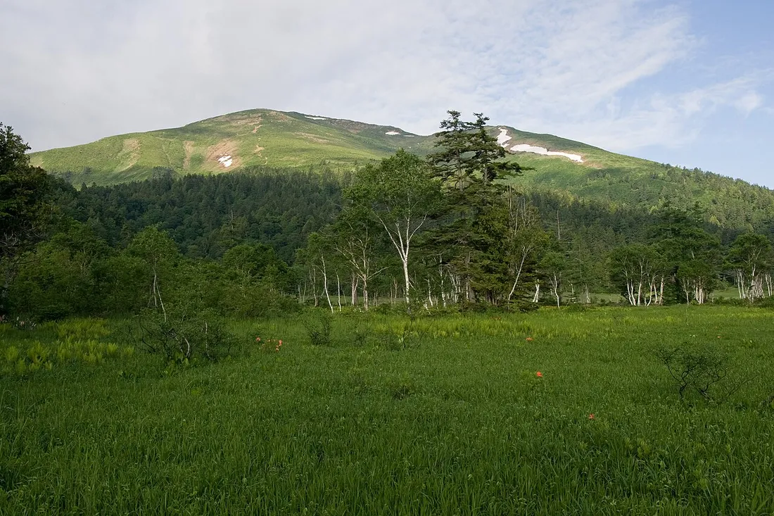 湿原の向こうに見える緑の至仏山