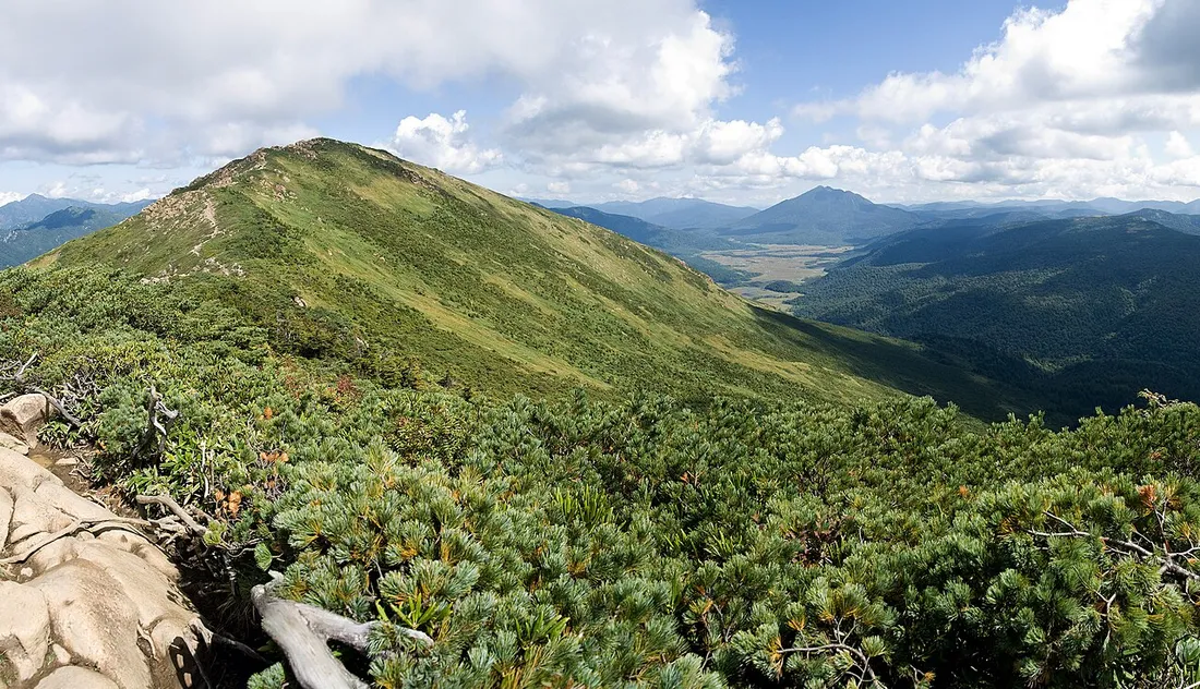 笹や低木に覆われた至仏山の稜線と遠くの尾瀬ヶ原方面の眺め