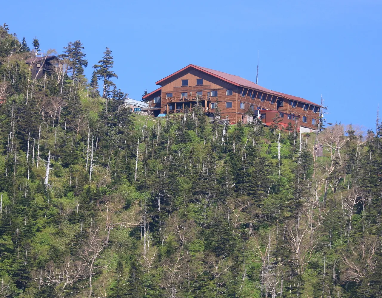 针叶林山坡上方的红色屋顶木造山小屋西穗山庄
