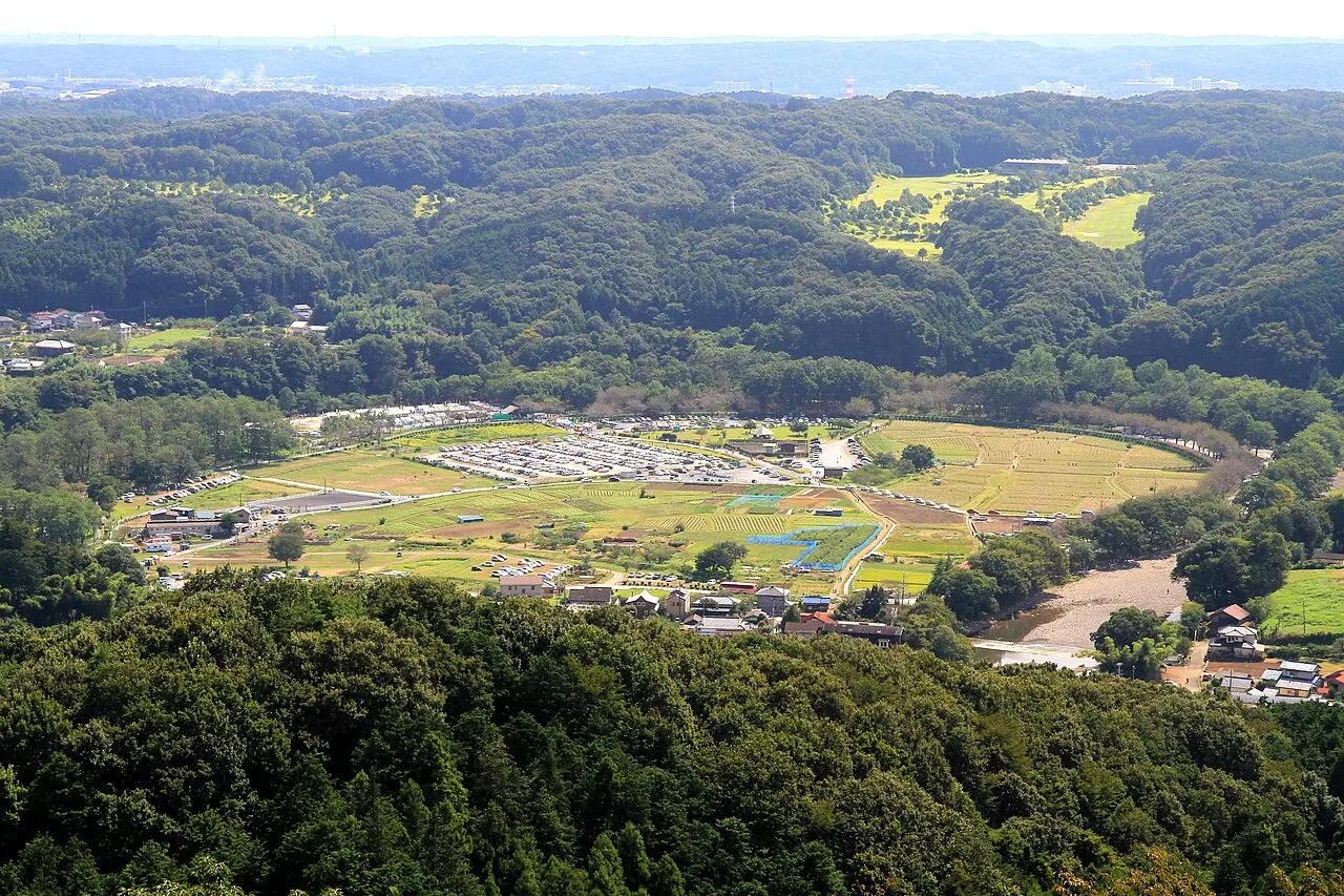 日和田山から見た巾着田