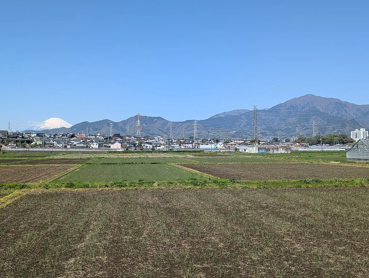 伊勢原市から見た大山
