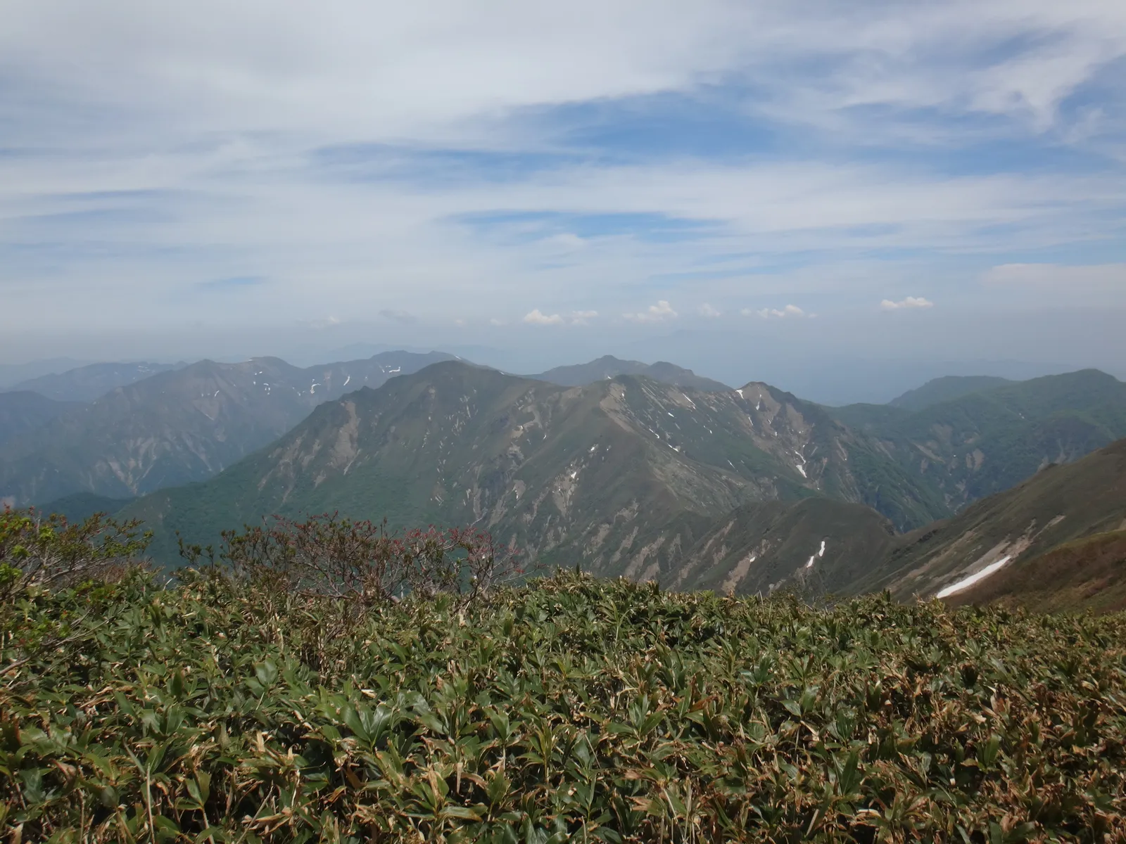 仙ノ倉山の山頂から東を見た、笹に覆われた尾根が連なる万太郎山と、その奥に続く谷川岳の山並み