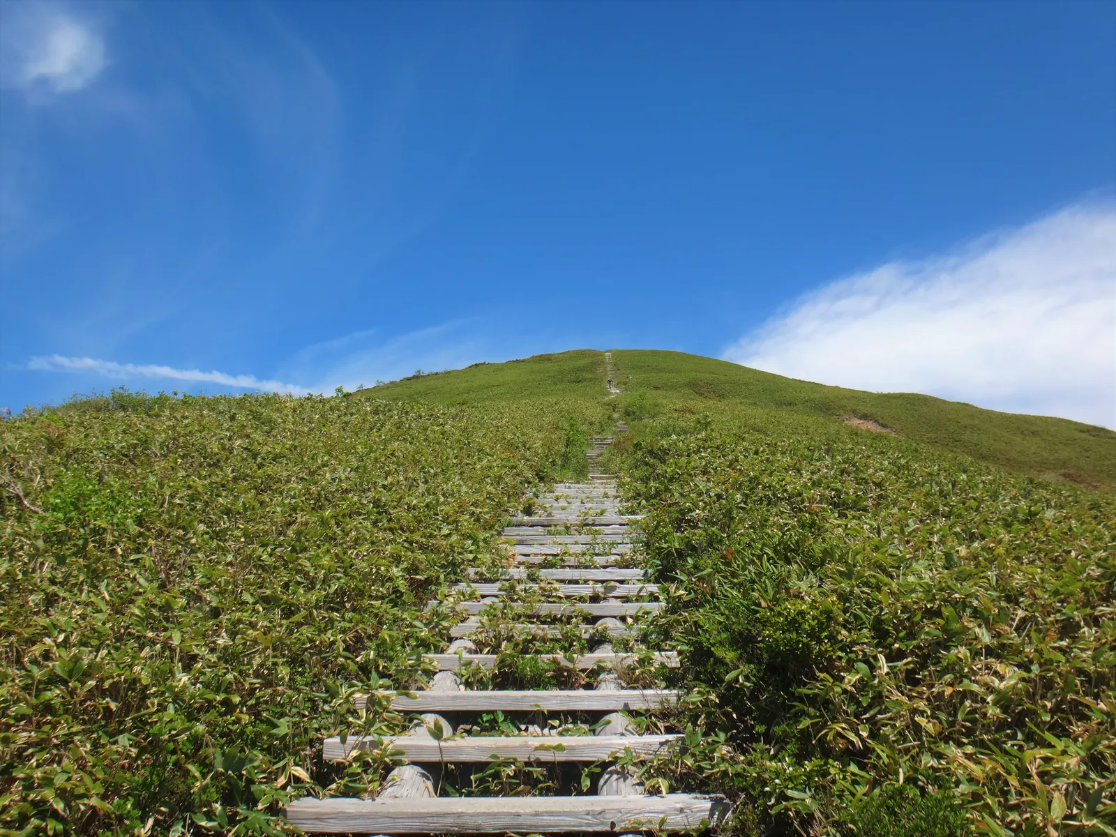 青空の下、草原の斜面をまっすぐ上っていく木の階段の登山道