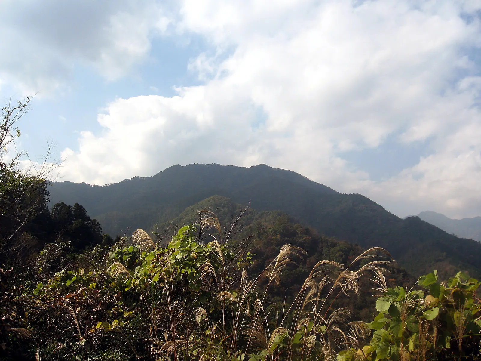 東南東から見た高川山