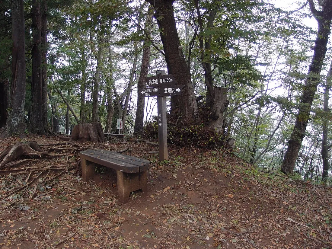 ベンチと道標がある高水山の山頂