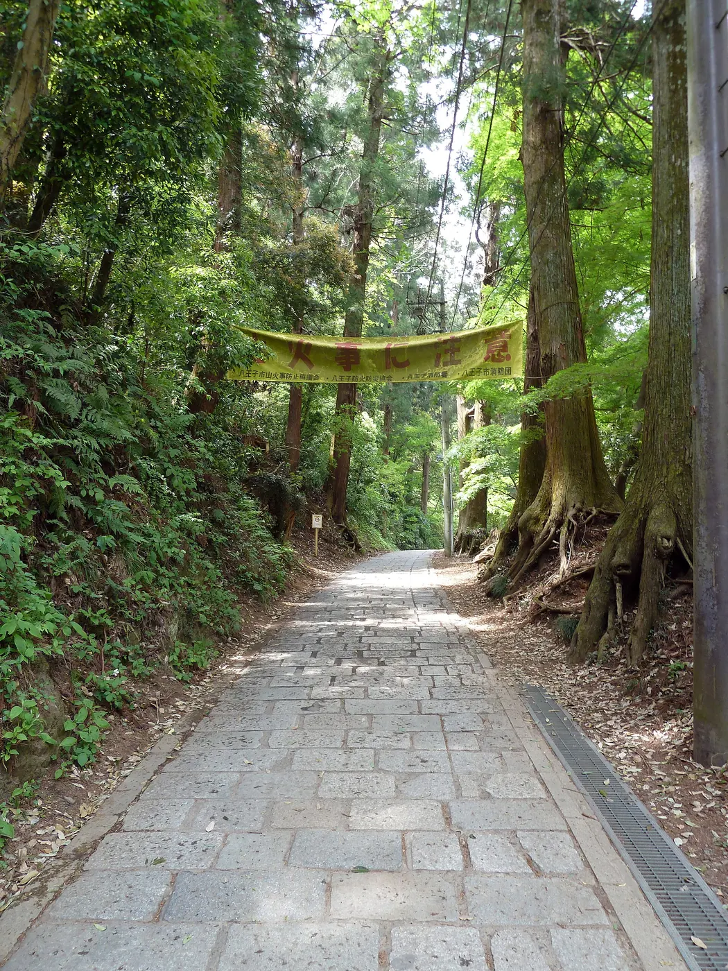 杉の大木に囲まれた、石畳とコンクリートの1号路の参道