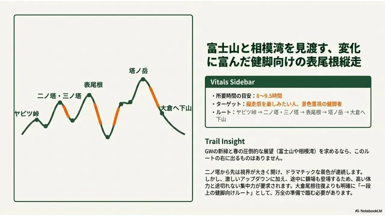 モデルコース2：表尾根縦走ルート図（ヤビツ峠→二ノ塔・三ノ塔→表尾根→塔ノ岳→大倉へ下山）